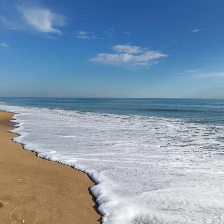 & Cocottage * Longeville-sur-Mer